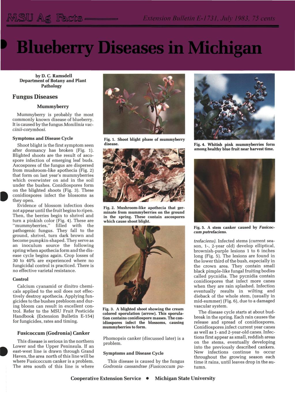 MSU Asg Fk± Extension Bulletin E-1731, July 1983, 75 cents Blueberry Diseases in Michigan by D. C.