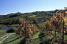 This area offers a spectacular scenery of vineyards surrounded by the slopes of