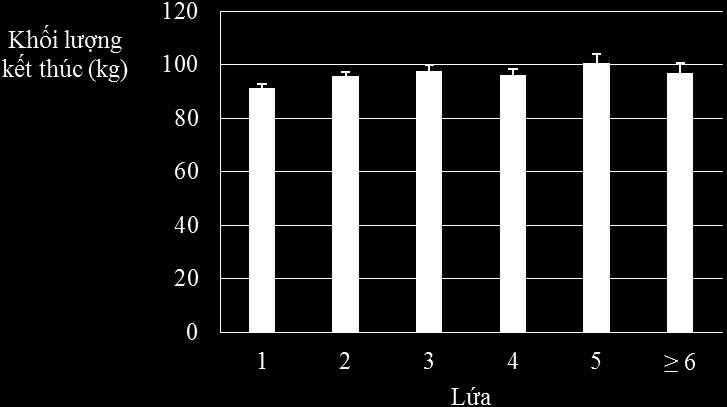Hình 3.5 Khối lượng kết thúc qua các lứa Hình 3.6 Tăng khối lượng trung bình hàng ngày qua các lứa Qua bảng 3.18, hình 3.5, hình 3.