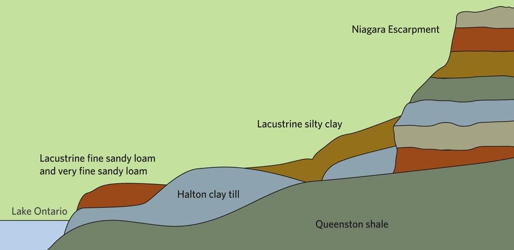 Ontario Niagara: Topography and Soil Soil types in the