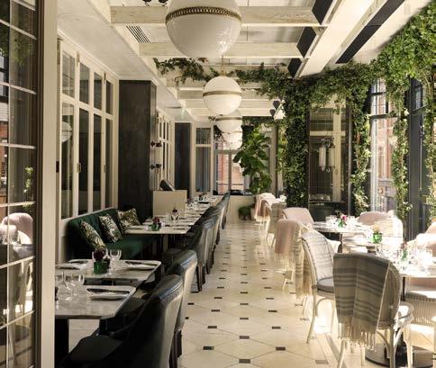 WILDE Enjoy seasonal celebrations in the magical surrounds of WILDE which has breathed new life into the Dublin restaurant scene.