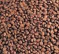 #111000L Colombian Green Coffee Beans #111003X Green coffee will arrive at your door UNROASTED.