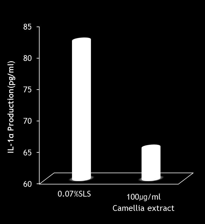 Camellia Anti-inflammatory effect This result shows Anti-inflammatory effect(amount of IL-1α ). This experiment measured byhuman IL-1α assay kit (Endogen Inc.