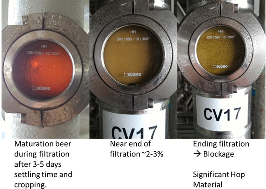 152 MBAA TQ vol. 54, no. 4 2017 Dry-Hopping Techniques for Larger Beer Volumes Figure 4.