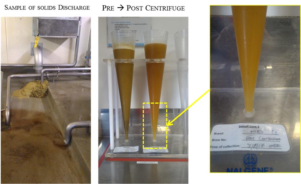 Dry-Hopping Techniques for Larger Beer Volumes Conclusions Dry hopping using the IMXD system addresses many of the process issues associated with the dry hopping of larger beer volumes.