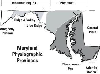 This publication is part of a set of three brochures that feature lists of species appropriate for planting in Maryland s coastal plain, Piedmont plateau, and mountain region.