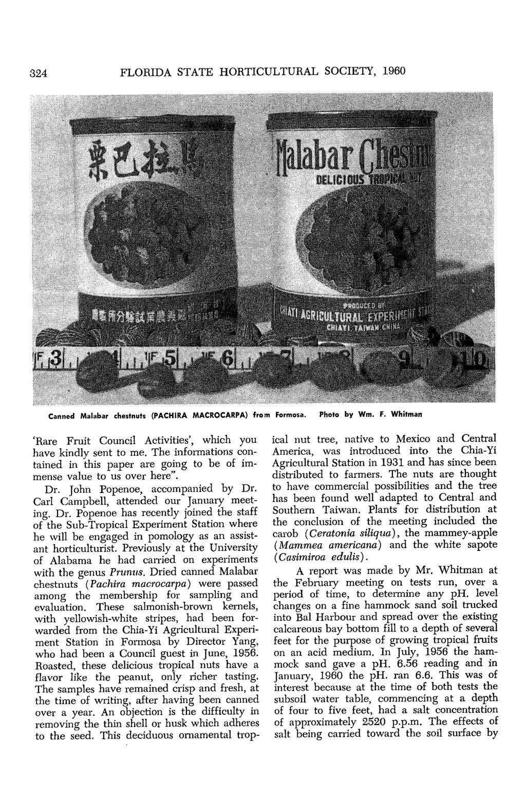 324 FLORIDA STATE HORTICULTURAL SOCIETY, 1960 Canned Malabar chestnuts (PACHIRA MACROCARPA) from Formosa. Photo by Wm. F. Whitman 'Rare Fruit Council Activities', which you have kindly sent to me.