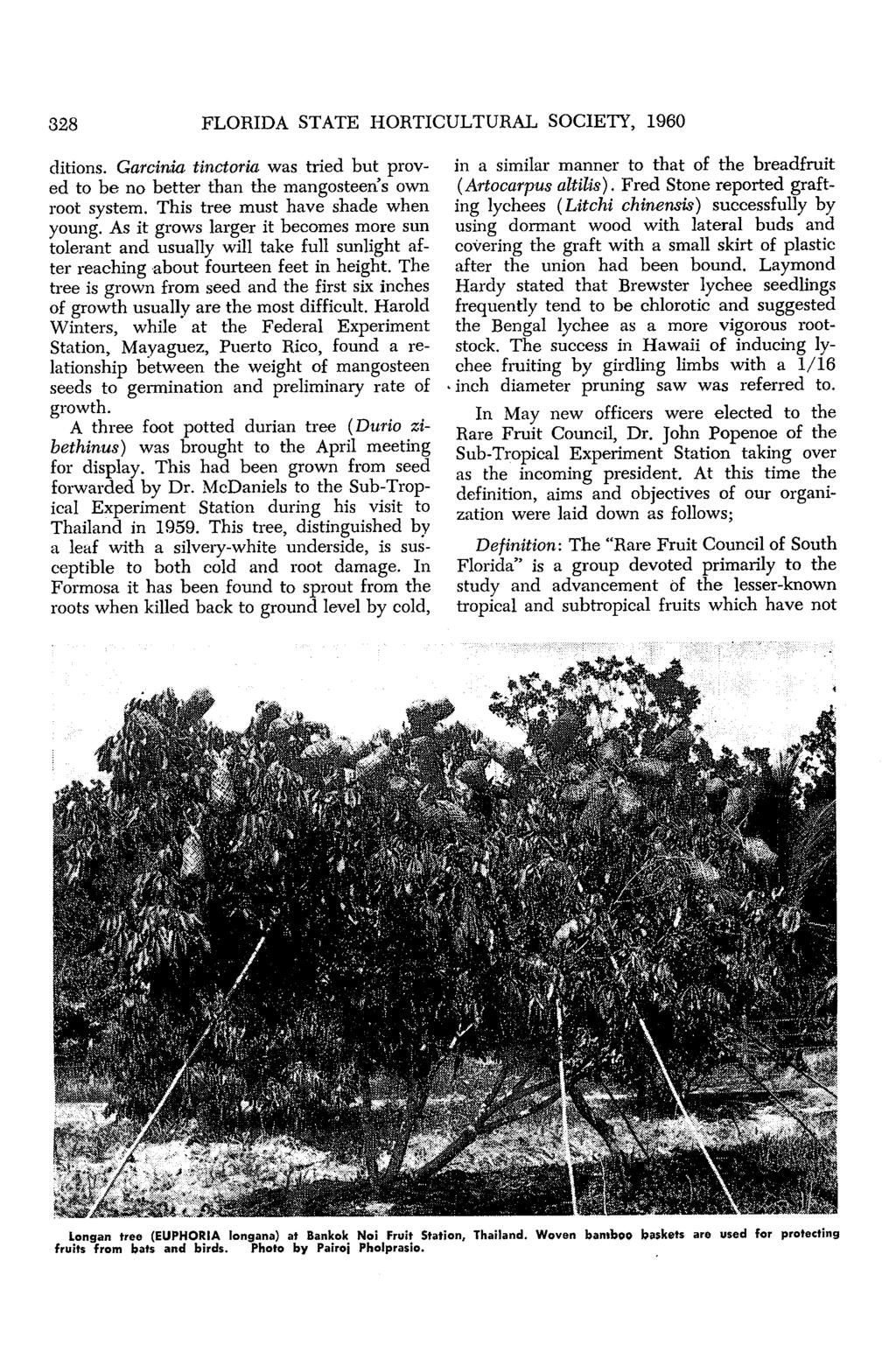 328 FLORIDA STATE HORTICULTURAL SOCIETY, 1960 ditions. Garcinia tinctoria was tried but prov ed to be no better than the mangosteen's own root system. This tree must have shade when young.