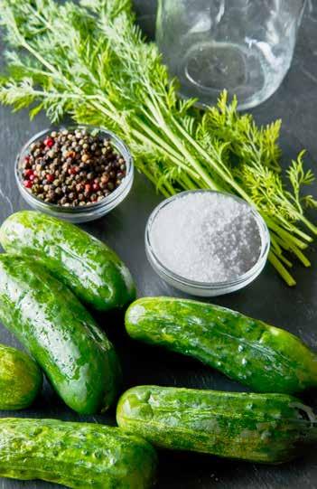 99 lb ingredients directions big bunch of dill 1 hd of garlic, skin removed (less if it's a strong garlic) 10 peppercorns Slice cucumbers into 1/4 inch slices or sprs. Set aside.
