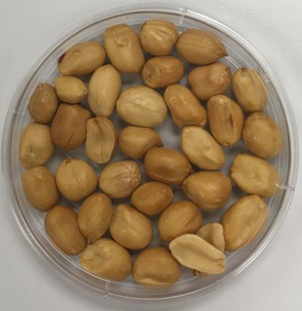 Our study showed that this variety maintained roasted flavor better than the rest (http://georgiacultivars.com/cultivars/peanuts).