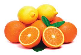 Quick Citrus Marmalade Makes about 6 (8 oz) half pints 4 Oranges 4 2 Lemons 2 2-1/2 cups Water 625 ml 1/8 tsp Baking soda 0.5 ml 6 Tbsp Ball RealFruit 120 ml Classic Pectin 6 cups Granulated sugar 1.
