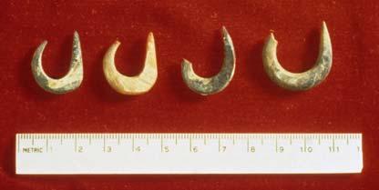 Small fish vertebrae in archaeological sites