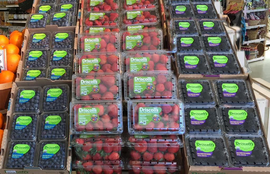 Late February and early March will be an ideal time to promote Organic Strawberries! South American Organic Blueberries continue in peak season supply. It s a good time to promote!