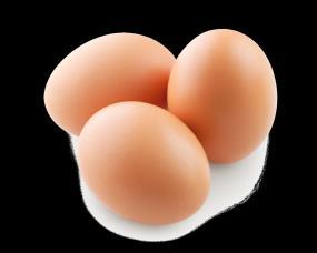 Commercially eggshells are washed and sanitised to remove dirt and reduce the likelihood of salmonella contamination. They are also coated with mineral oil to delay moisture loss.