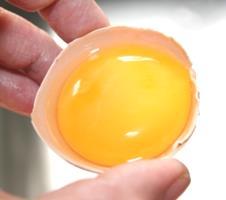 The solids in egg yolks consist of proteins, fats and emulsifiers with small amounts of mineral ash and yellow orange carotenoids. These proteins are not the same as those of egg whites.