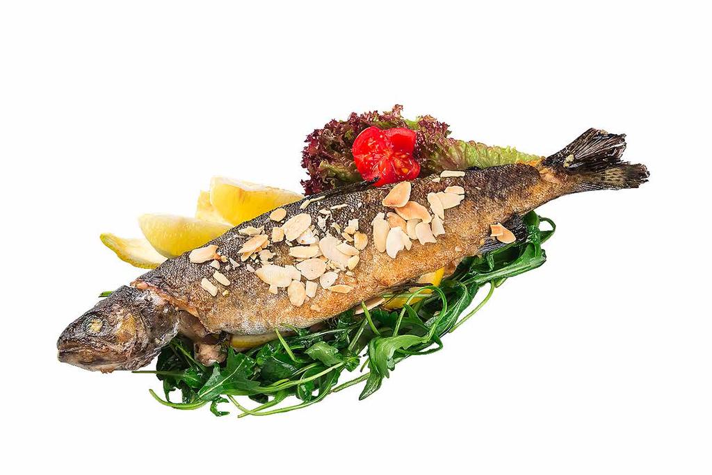 Fish Meals Grilovaný losos (4,7) na smotanovom