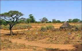 Stewart, Robert. "Desertification in the Sahel." Desertification in the Sahel.