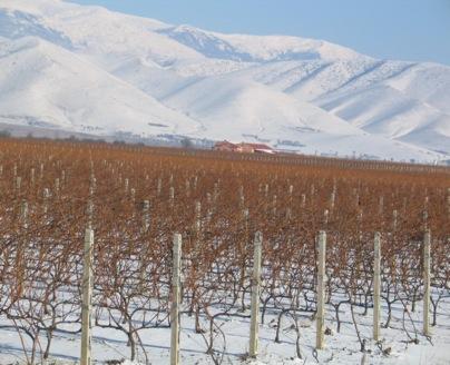 The coldest winemaking zone of Greece. It is a mountainous area with a mild continental climate, with fresh summers (18.