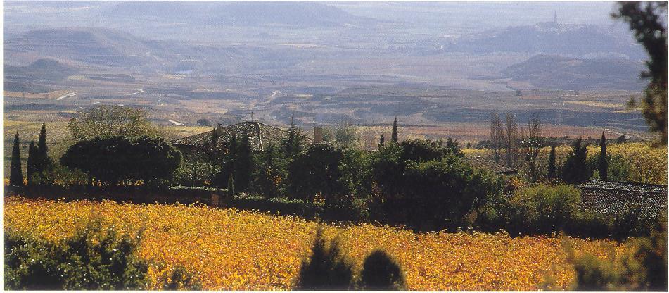 La Granja Nuestra Senora de Remelluri Remelluri: the first estate of la Rioja.