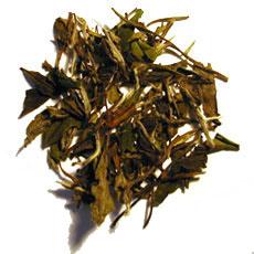 White Tea White Tea The production of white tea is very different to green tea. First, the leaves come from a special varietal tea bush called Narcissus or chaicha bushes.