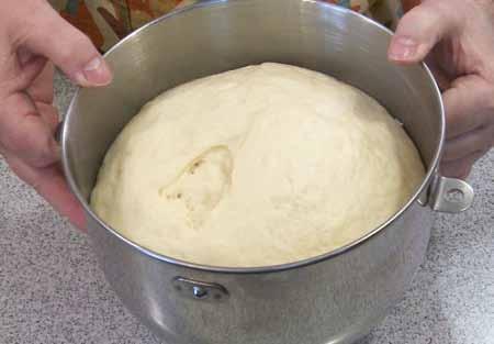 7 5 Place the dough in a greased bowl, cover, and let rise in