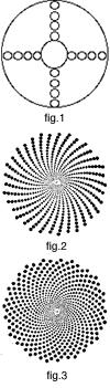Fibonacci Phyllotaxis (cont.) Figure: Seed growth based on different angles α of dispersion. Left: α = 90. Center α = 137.6. Right: α = 137.5. What is so special about 137.5? It s the golden angle!