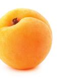 008042 Sandro Vanini Orange Mostarda Purée A fresh Italian blend