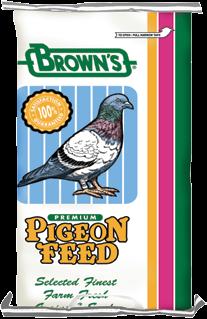 All our pigeon feeds are packaged in 50 lb.