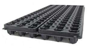 Split 51 No pinch Grown as 51 Sold as 51 (25mm) Our most popular tray size, you will find
