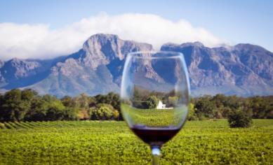 Conclusions Wine tourism in the Western Cape has grown and continues to grow, as evidenced by the number of wine tourism activities being booked