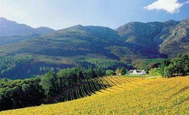 This illustrates the importance of wine tourism as a means of enhancing the economic growth of tourism in the Cape.