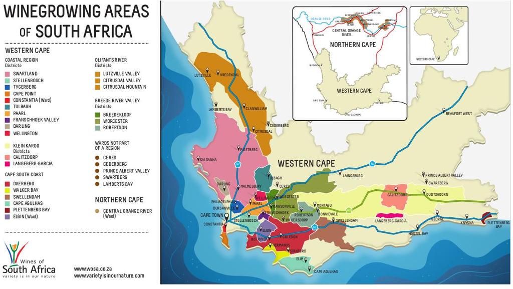 Background to wine in South Africa South Africa is the 8 th largest producer of wine globally and ranked 12 in terms of surface area under vines.