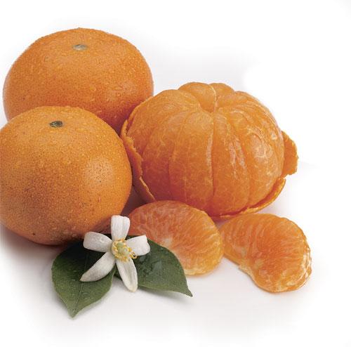 Mandarins (and hybrids) C.