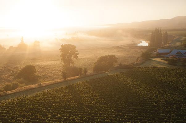 With enduring energy and drive, they are seeking to make world class wines. Rod McDonald Wines farm around 70 hectares of vineyards in the Hawke s Bay and Te Awanga Estate is home to its cellar door.