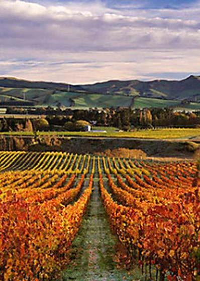 ALAN MCCORKINDALE WAIPARA VALLEY, NZ Alan McCorkindale Wines is a small family business based in the Waipara Valley, Canterbury.