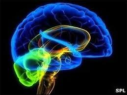 Cerebellar Ataxia Results from damage to cerebellum (cerebellar