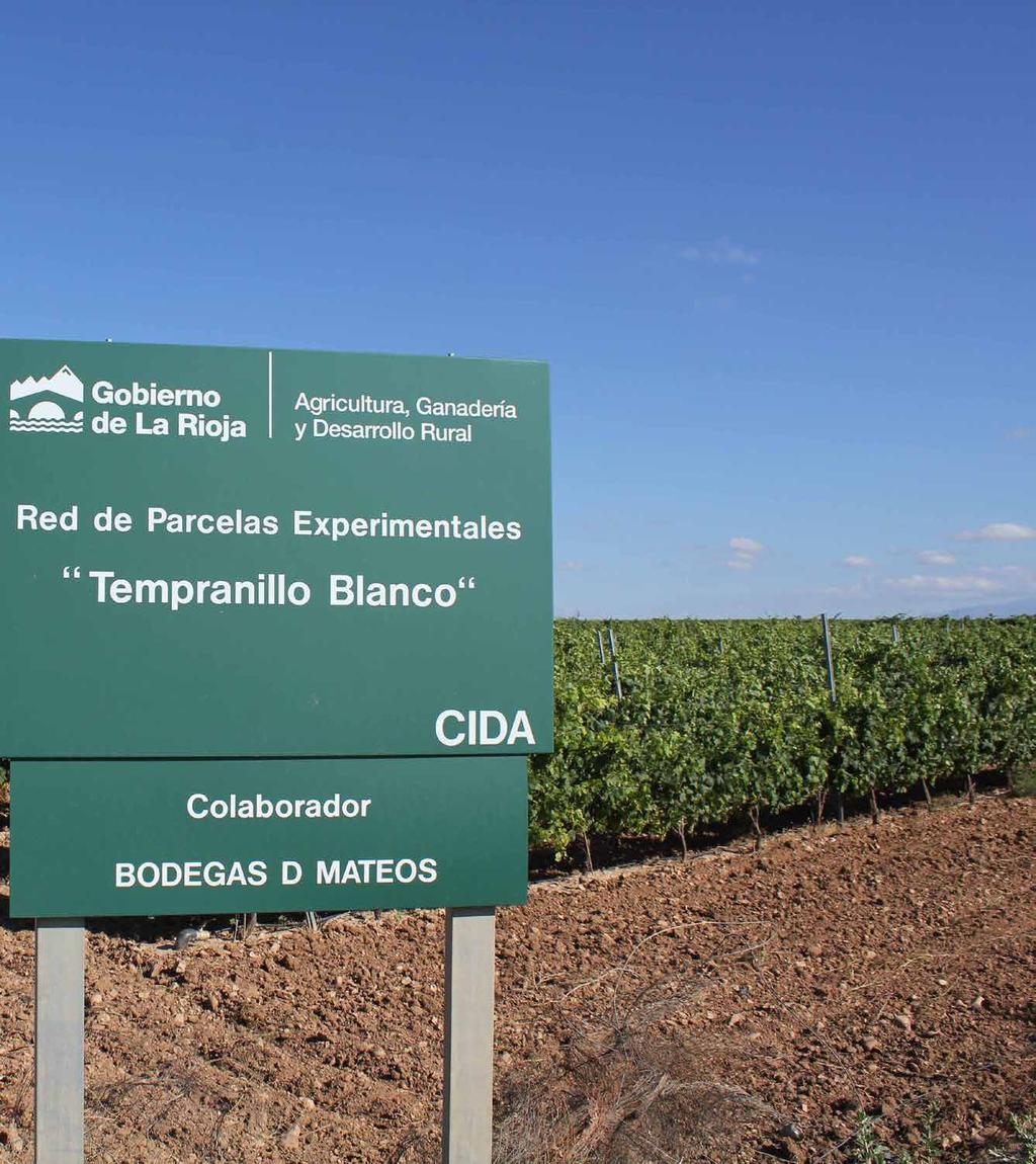 Experimental vineyars Collaboration with CIDA (Government of La Rioja).