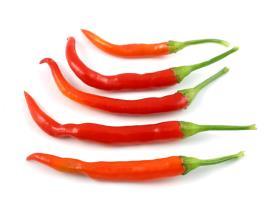 Chili Chili (Capsicum annuum-family- Solanaceae) is one of the most important vegetable crops grown throughout the world