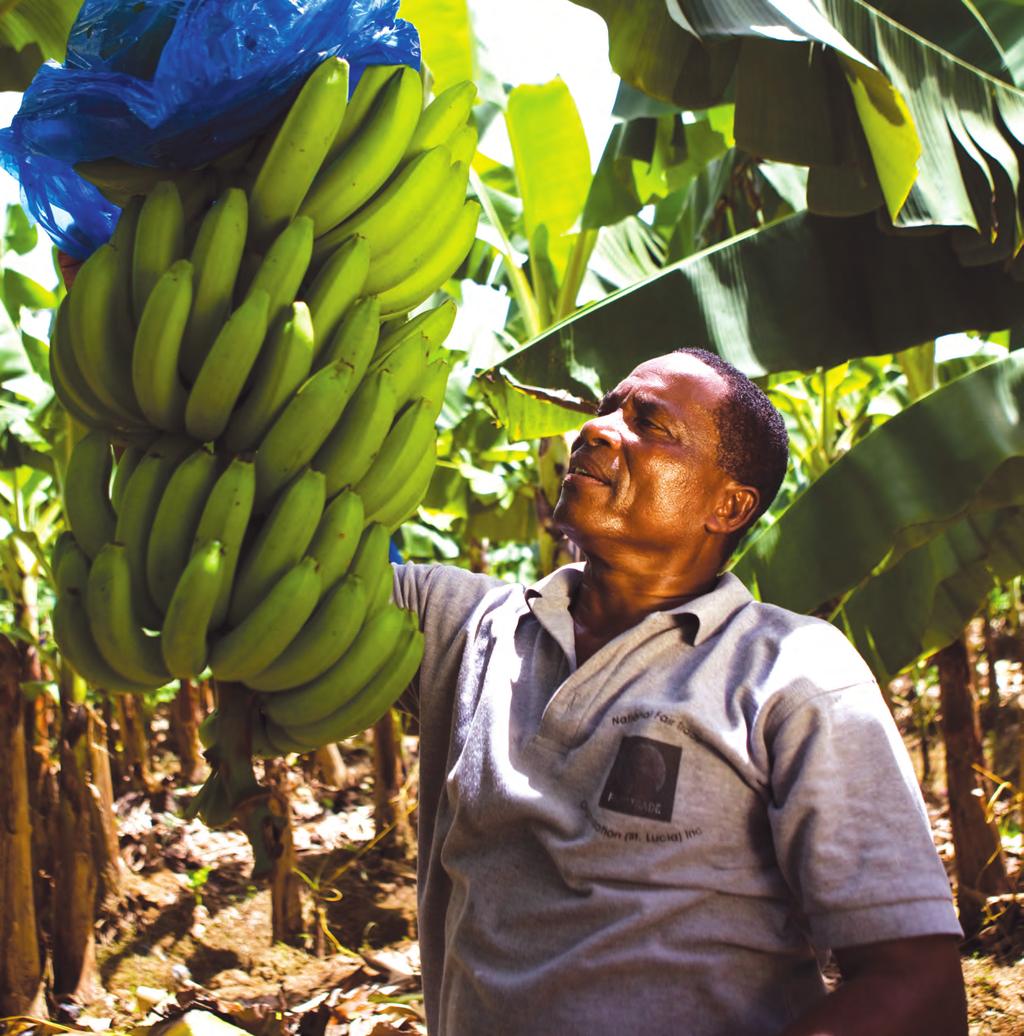 FairTrade and the Commonwealth: A Five-Point