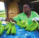 fairtrade and the commonwealth Fairtrade emerged as a response to unfair treatment of farmers and workers in global supply chains.