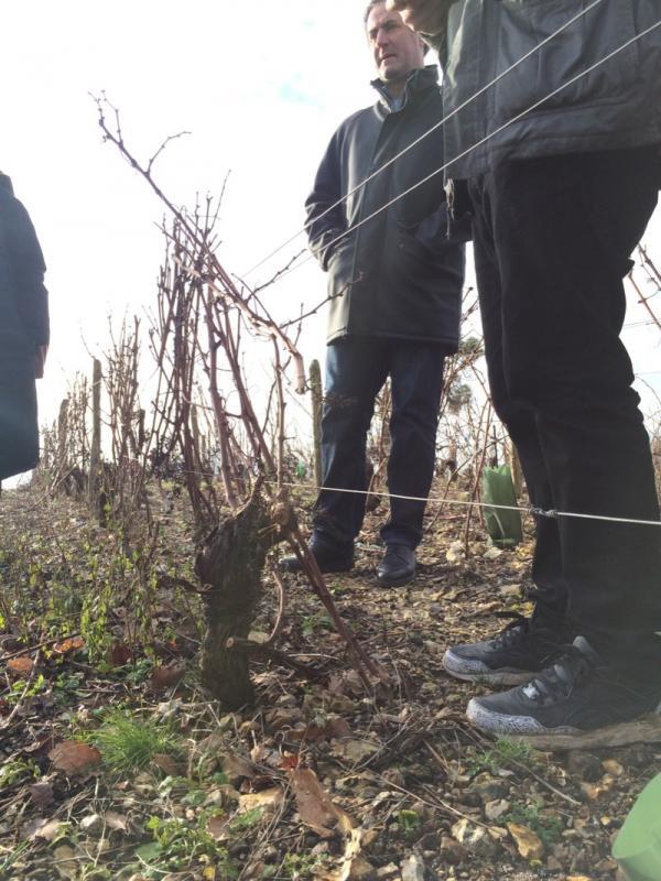 Louis/Dressner Selections: We Wear Nice Sneakers Alain explained that these soils have much later maturities