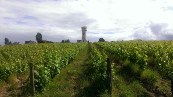 After breakfast, we decided to walk over through the Clos Roche