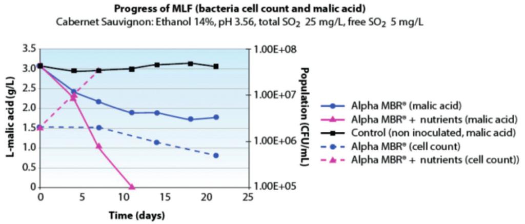 AVAILABLE NOW! FIGURE 4. Impact of adding Opti Malo Plus bacteria nutrient on malolactic fermentation. FIGURE 5.