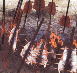 Vertical Spit Roaster (Asado Spit) Place sticks in the ground around the fire