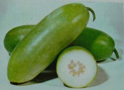 It is sometimes called Chinese winter melon, and is popular in Asian markets and cuisine. The white flesh of the melon-like fruit is the cooked in soups.