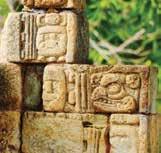 Things to see & do Copan Ruins Las Sepulturas and the Maya Sculpture Museum Excursions To