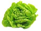 Foods That Don t Freeze Well Some vegetables (e.g. cabbage, celery, lettuce, cucumbers, radishes) Some dairy foods (e.