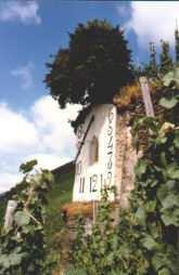 In 1805, vineyards which officially date back to 1256 and the estate house belonging to the St.