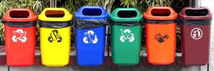 Do your recyclable food and beverage containers all go into the same bin or into different bins (one for paper, one for plastic, etc.)?