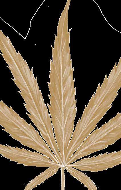 MEDICAL CANNABIS SEED GUIDE Printed on